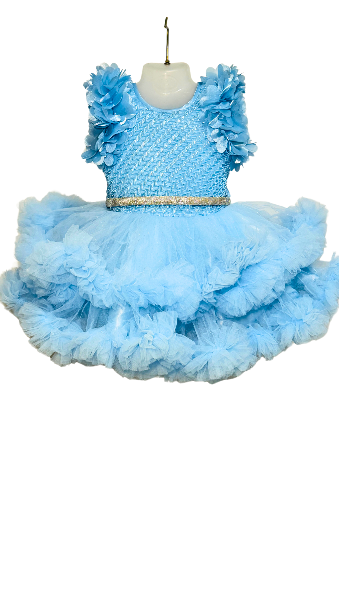 Sky Blue Princess Tutu Dress with Floral Sleeves