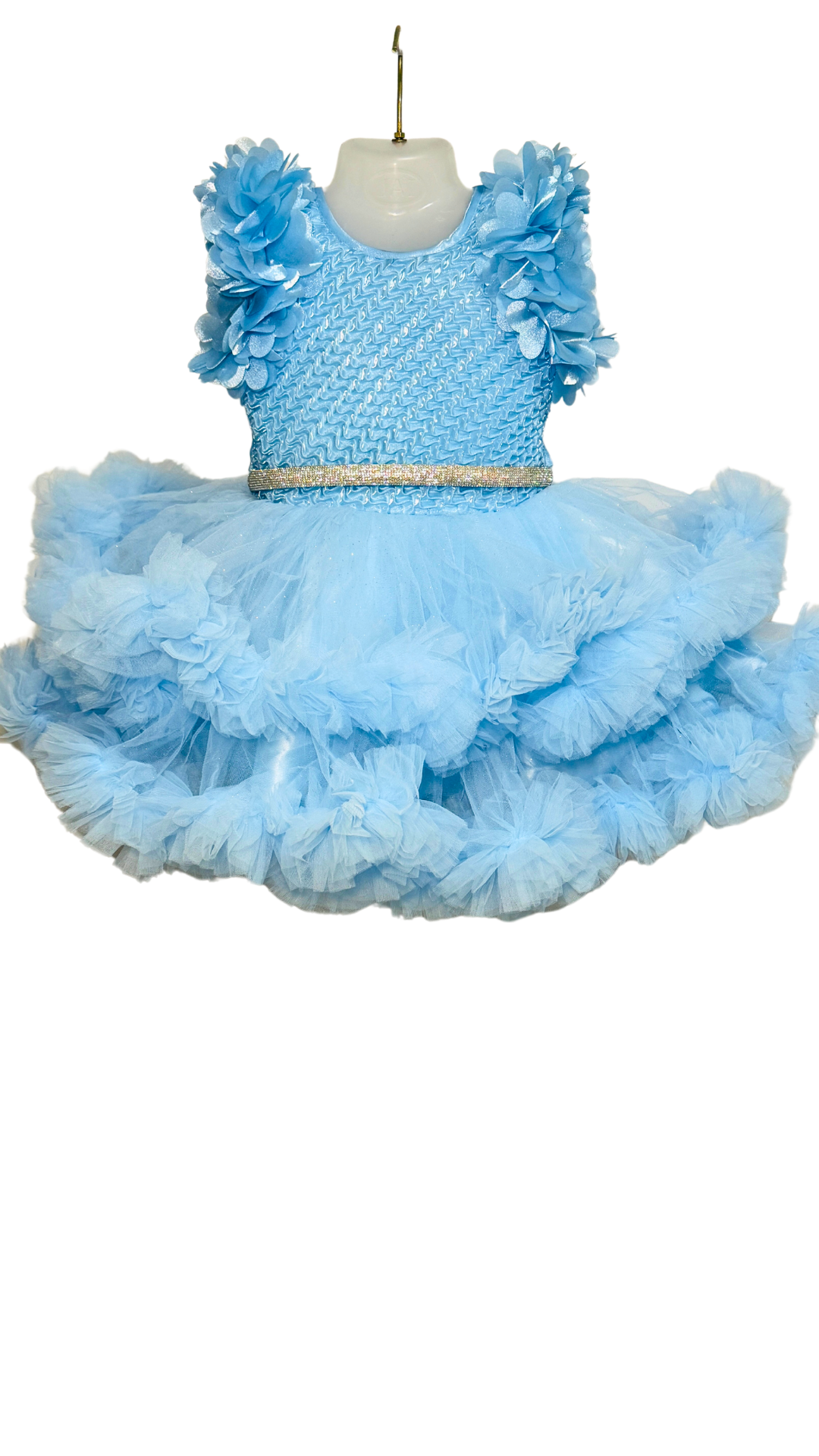 Sky Blue Princess Tutu Dress with Floral Sleeves